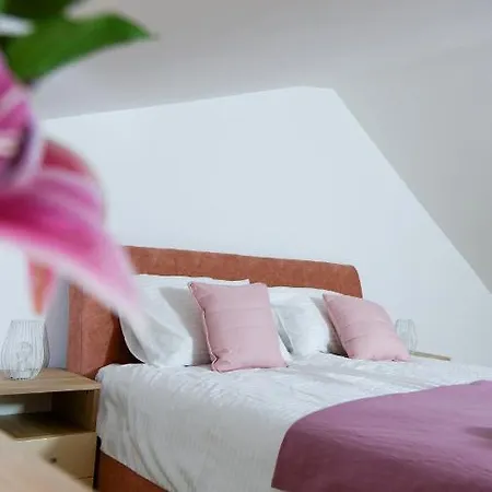 San Lux Dunavska * Novi Sad