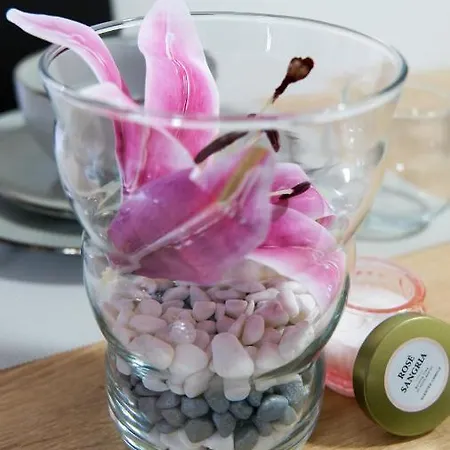 San Lux Dunavska Novi Sad