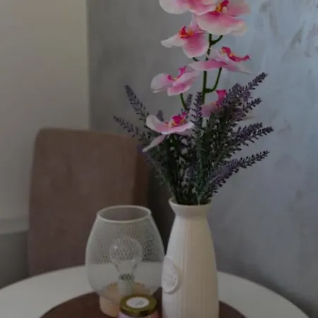 Hostel San Lux Dunavska *